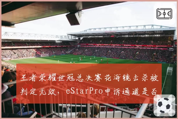 王者荣耀世冠总决赛花海镜击杀被判定无效,eStarPro申诉通道是否畅通?