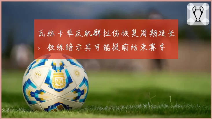 瓦林卡单反肌群拉伤恢复周期延长，教练暗示其可能提前结束赛季
