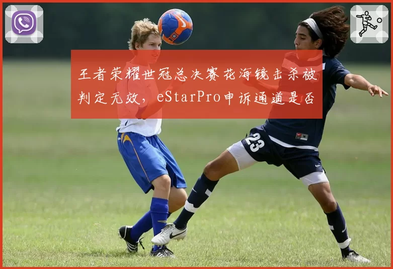 王者荣耀世冠总决赛花海镜击杀被判定无效,eStarPro申诉通道是否畅通?